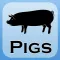 1500 Pig Breeds, Medical Dictionary