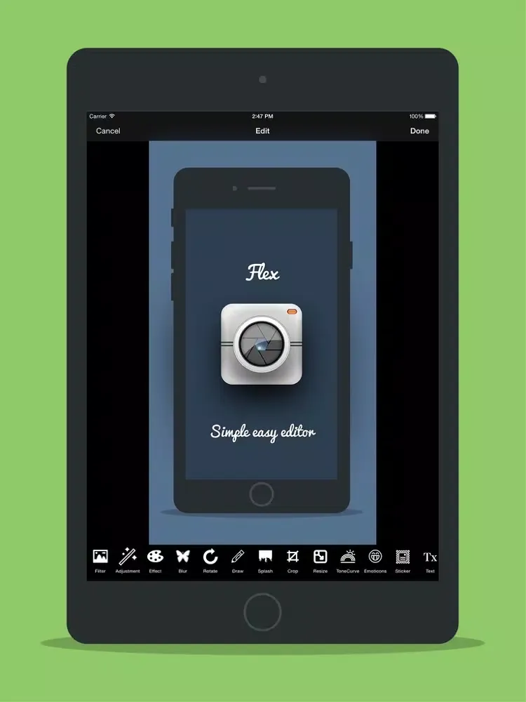 ภาพหน้าจอของ Flex Photo Editor iPad 