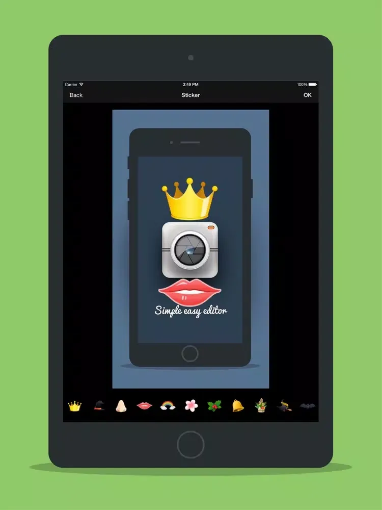 ภาพหน้าจอของ Flex Photo Editor iPad 