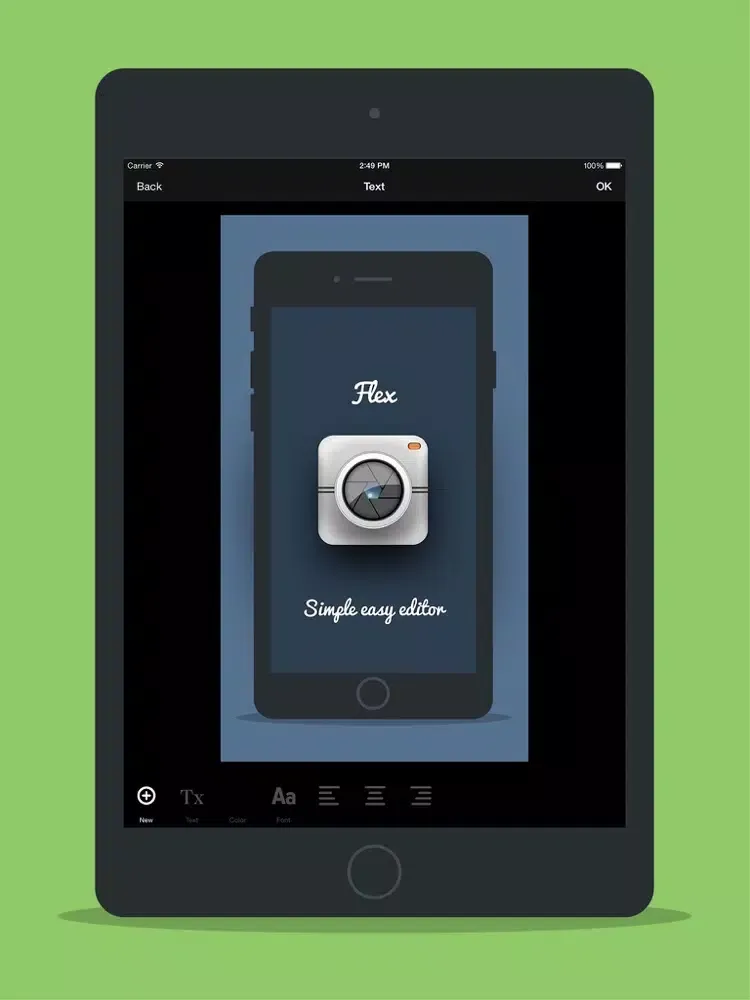 ภาพหน้าจอของ Flex Photo Editor iPad 