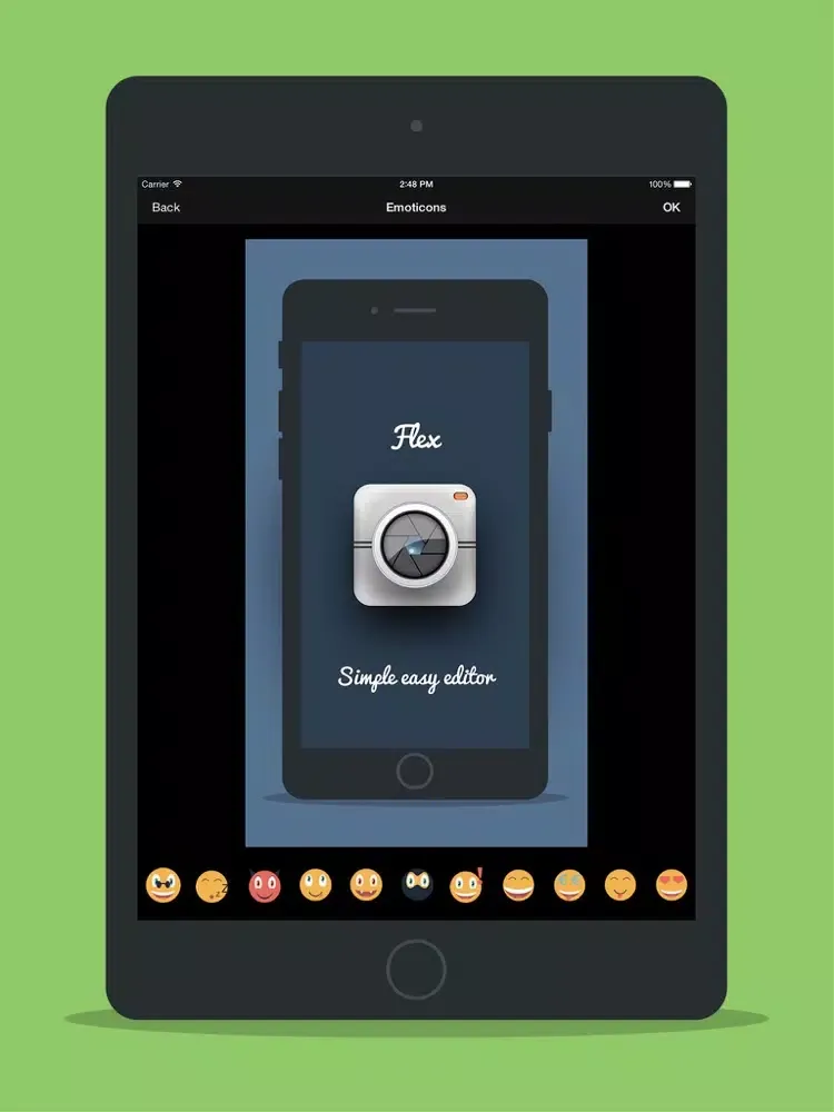 ภาพหน้าจอของ Flex Photo Editor iPad 