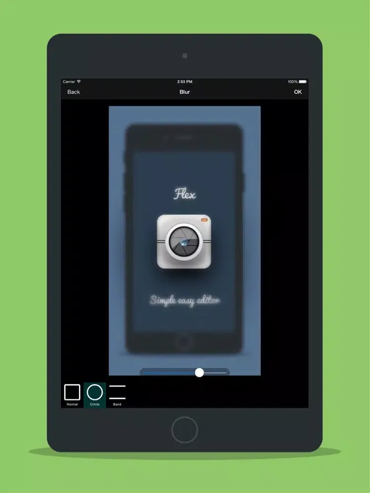 ภาพหน้าจอของ Flex Photo Editor iPad 