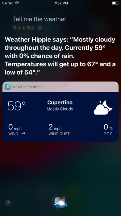 Weather Hippie: Forecast سکرین شاٹس