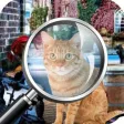 Hidden objects Missing Lulu