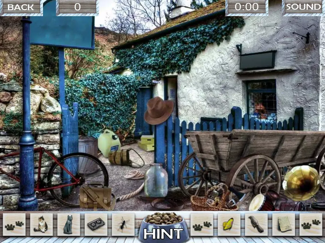 Hidden objects Missing Lulu iPad  Ekran Görüntüleri