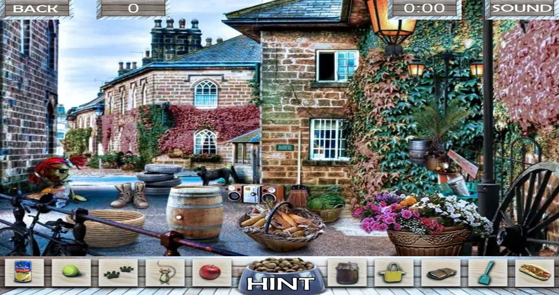 Hidden objects Missing Lulu Ekran Görüntüleri
