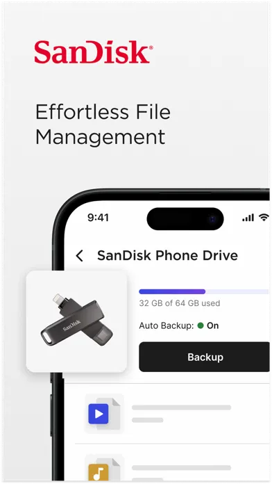 SanDisk Memory Zone スクリーンショット
