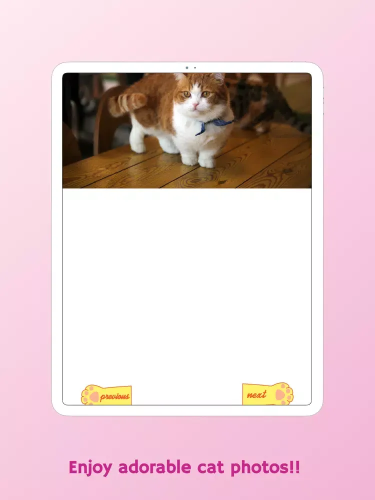 My Meow - Cat Diary, Cat Photo iPad Screenshots