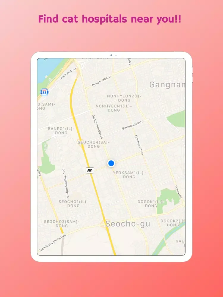 My Meow - Cat Diary, Cat Photo iPad Screenshots