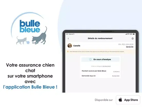 Bulle Bleue iPad  Ekran Görüntüleri