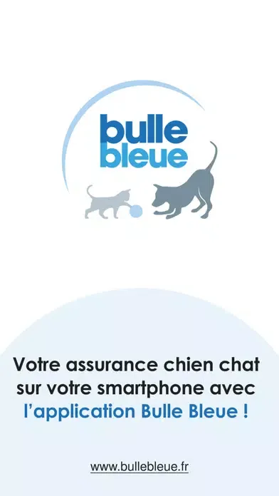 Bulle Bleue Ekran Görüntüleri