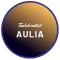 Terjemah Tadzkirotul Aulia