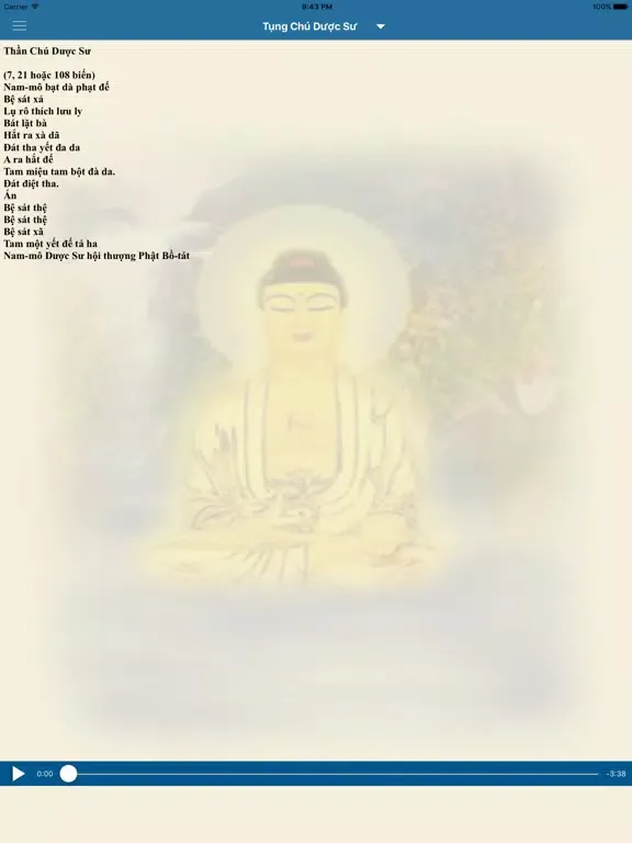 Captures d'écran de Thần Chú Dược Sư iPad 
