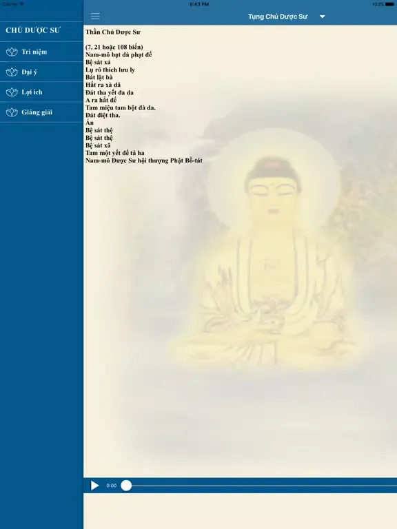 Captures d'écran de Thần Chú Dược Sư iPad 