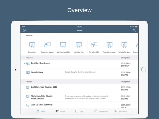 Скриншоты SAP Analytics Cloud iPad 