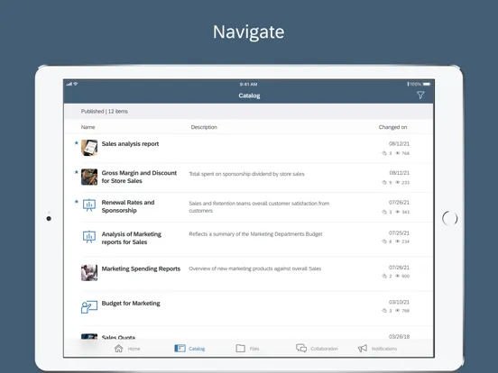 Скриншоты SAP Analytics Cloud iPad 