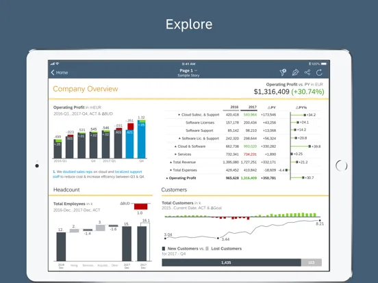 Скриншоты SAP Analytics Cloud iPad 