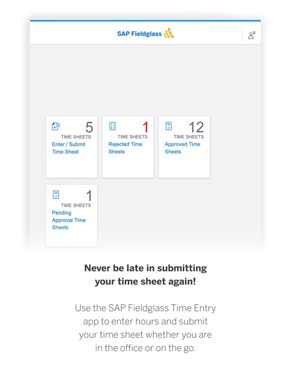Screenshot di SAP Fieldglass Time Entry iPad 