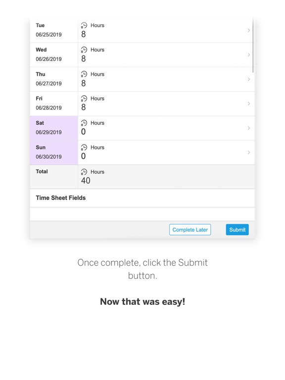 Screenshot di SAP Fieldglass Time Entry iPad 