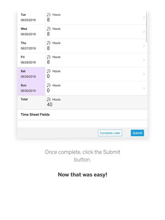 Zrzuty ekranu SAP Fieldglass Time Entry iPad 