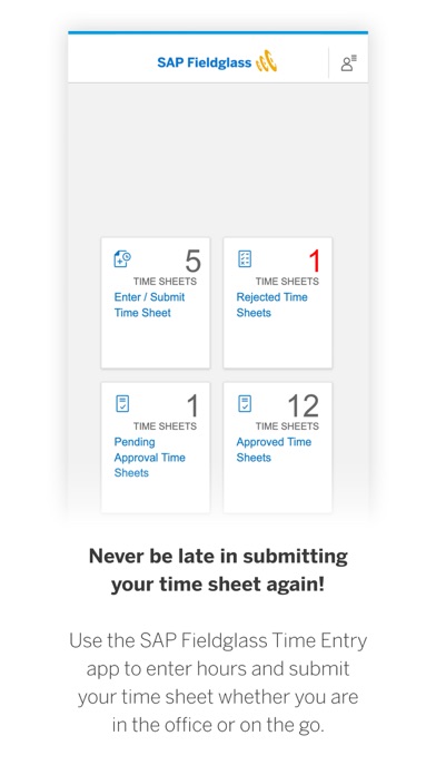 Screenshot di SAP Fieldglass Time Entry