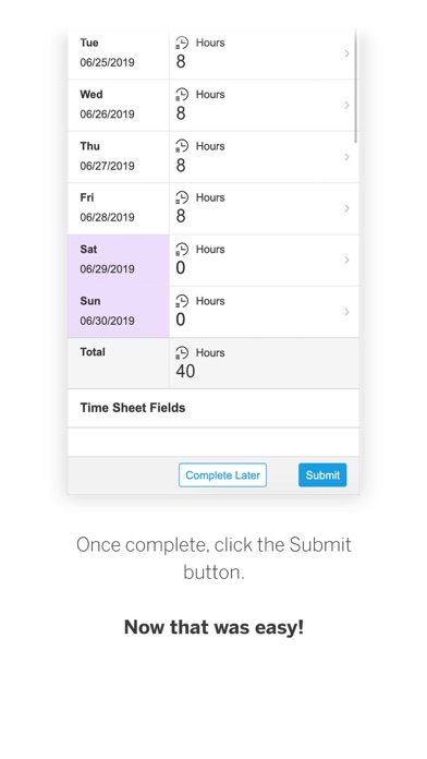 Screenshot di SAP Fieldglass Time Entry