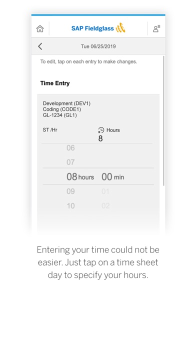 Screenshot di SAP Fieldglass Time Entry