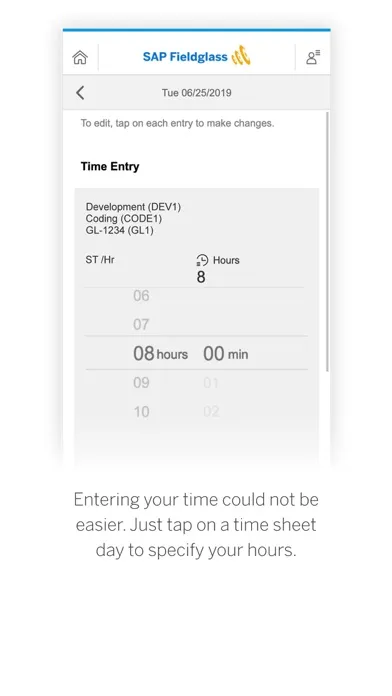 Zrzuty ekranu SAP Fieldglass Time Entry
