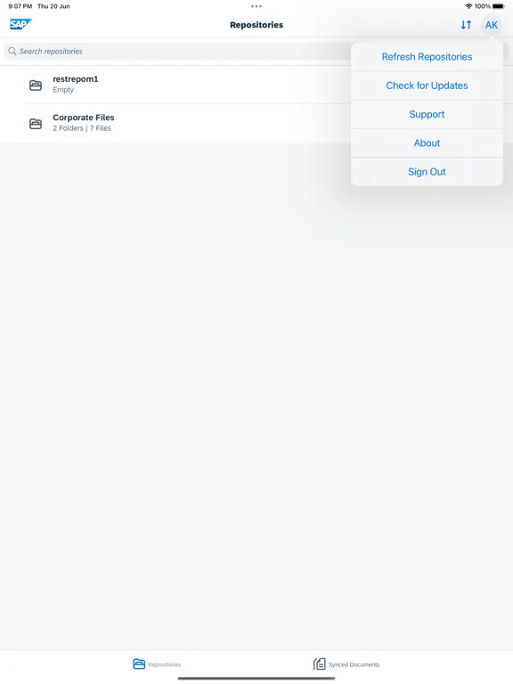 SAP Document Management iPad  Screenshots