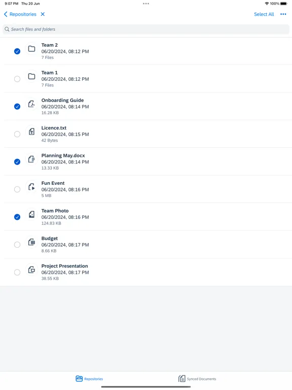 SAP Document Management iPad  Screenshots