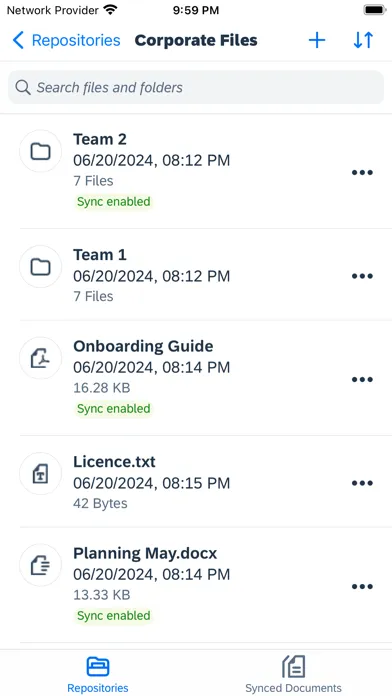 SAP Document Management Screenshots