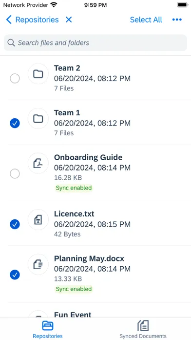 SAP Document Management Screenshots
