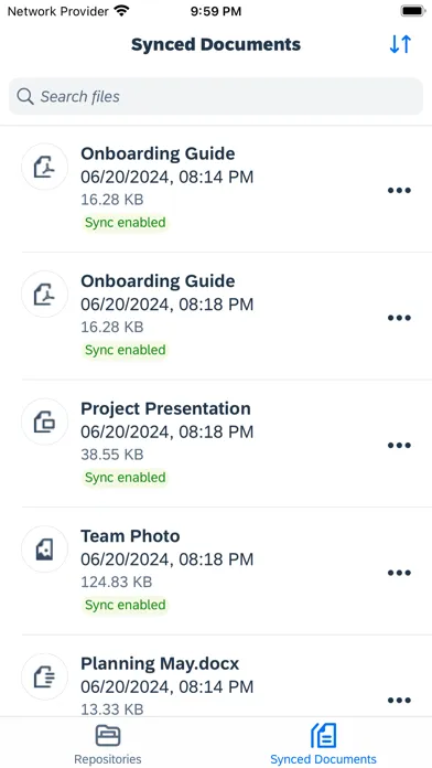 SAP Document Management Screenshots