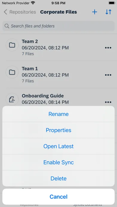 SAP Document Management Screenshots