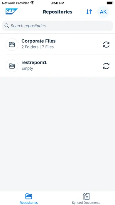 SAP Document Management Screenshots