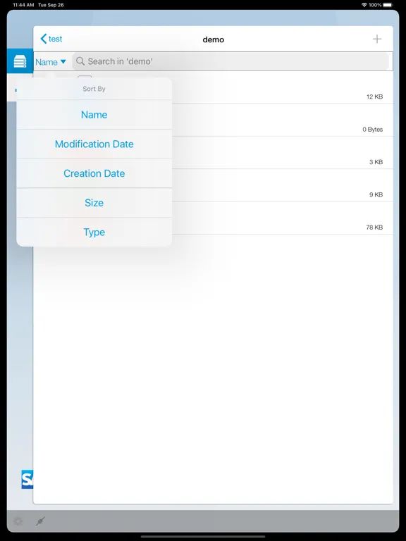 SAP Document Mgmt Svc Client iPad  স্ক্রিনশট
