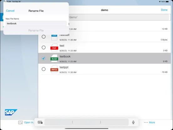 SAP Document Mgmt Svc Client iPad  স্ক্রিনশট