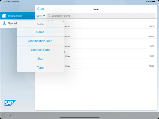 SAP Document Mgmt Svc Client iPad  স্ক্রিনশট