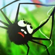 Spider Trouble Spider Trouble