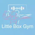 Little Box Gym
