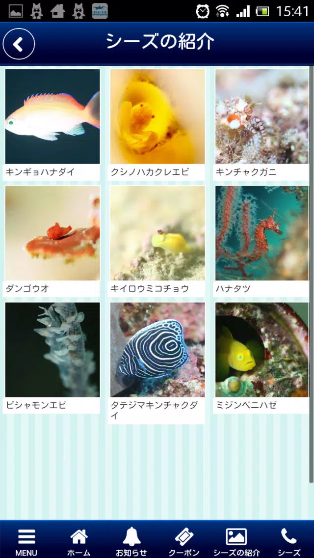 SEADS應用截圖