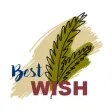 Earthy Wishes