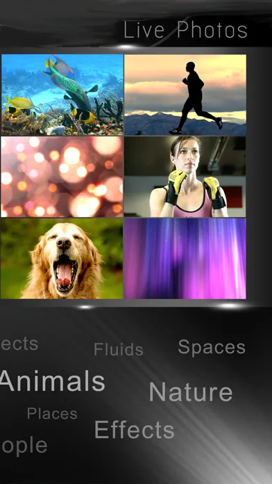 Live Wallpaper Collection - Photo Video HD for Lock Screen Ekran Görüntüleri