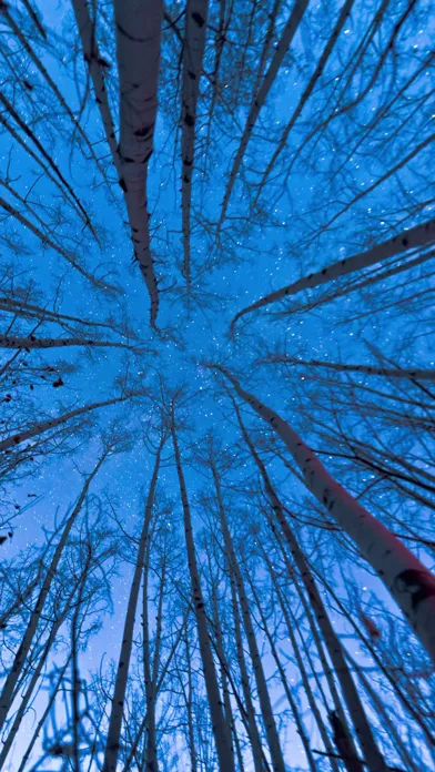 Live Wallpaper Collection - Photo Video HD for Lock Screen Ekran Görüntüleri