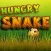 Hungry Snake