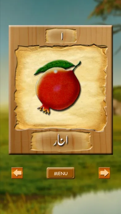 Learn Urdu স্ক্রিনশট