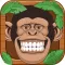 Rolling Monkey