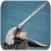 Pelican Bird sounds