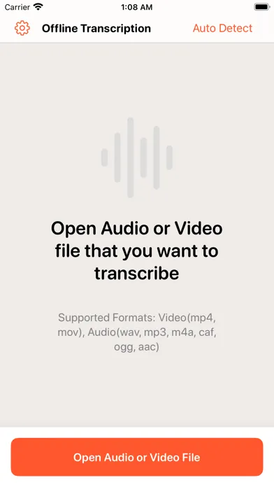 Capturas de pantalla de Offline privacy transcription
