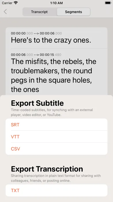 Capturas de pantalla de Offline privacy transcription